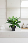 Bathroom Lifestyle