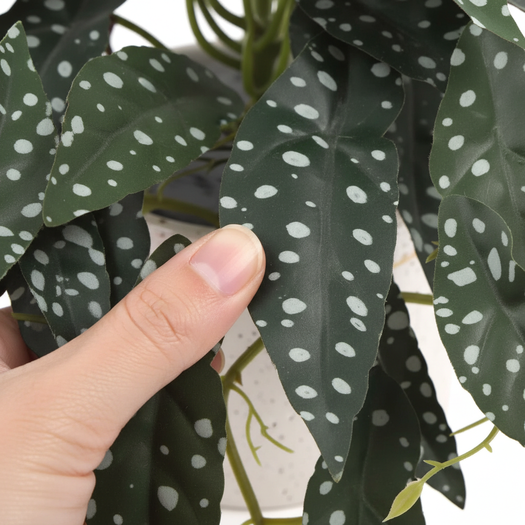 Begonia Leaf Close-up