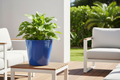 Blue Gloss Pot – Alfresco