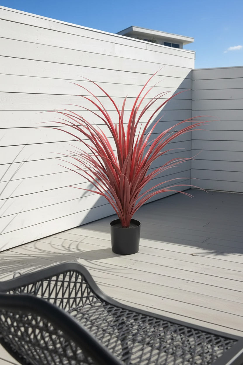 Burgundy Grass – Outdoor