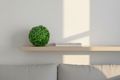 Buxus Topiary – Shelf