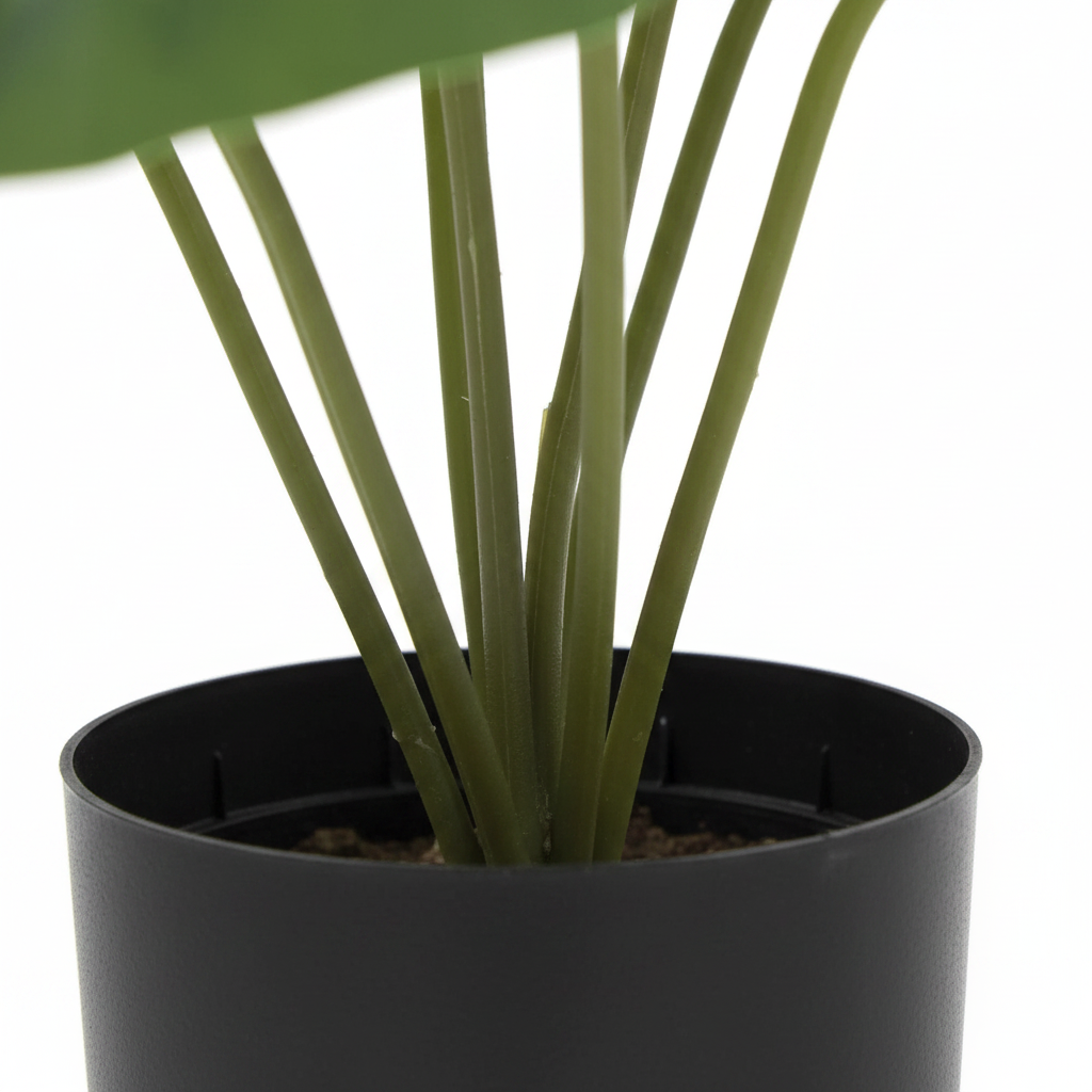 Close-up - base