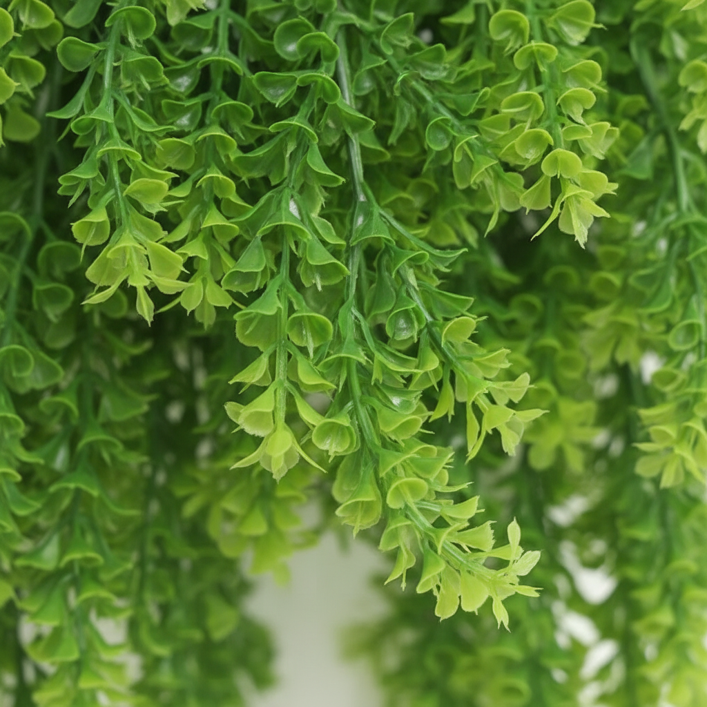 Close-up - Bell Leaves