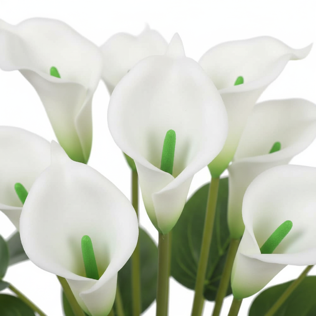 Close-up - blooms revised