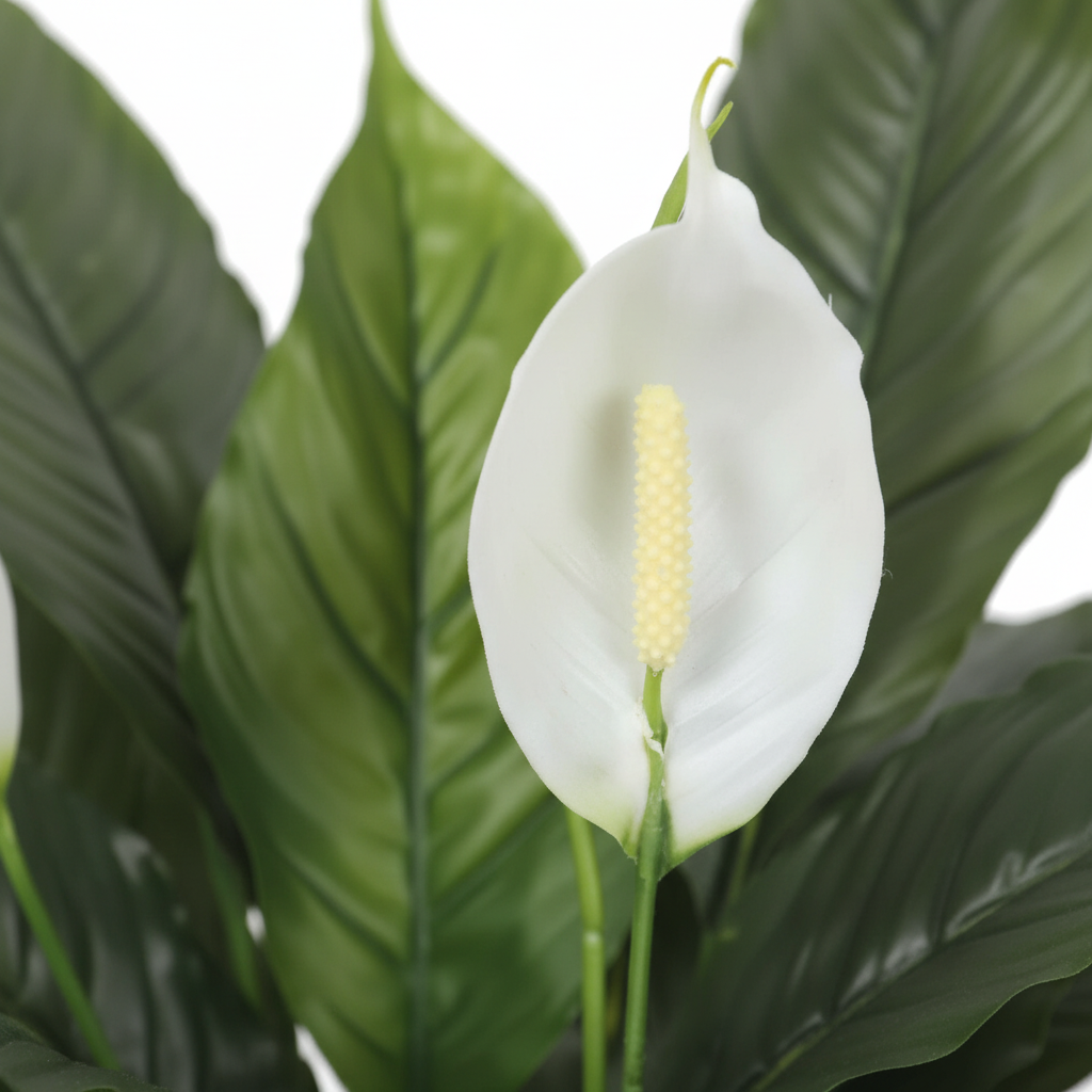 Close-up - blooms