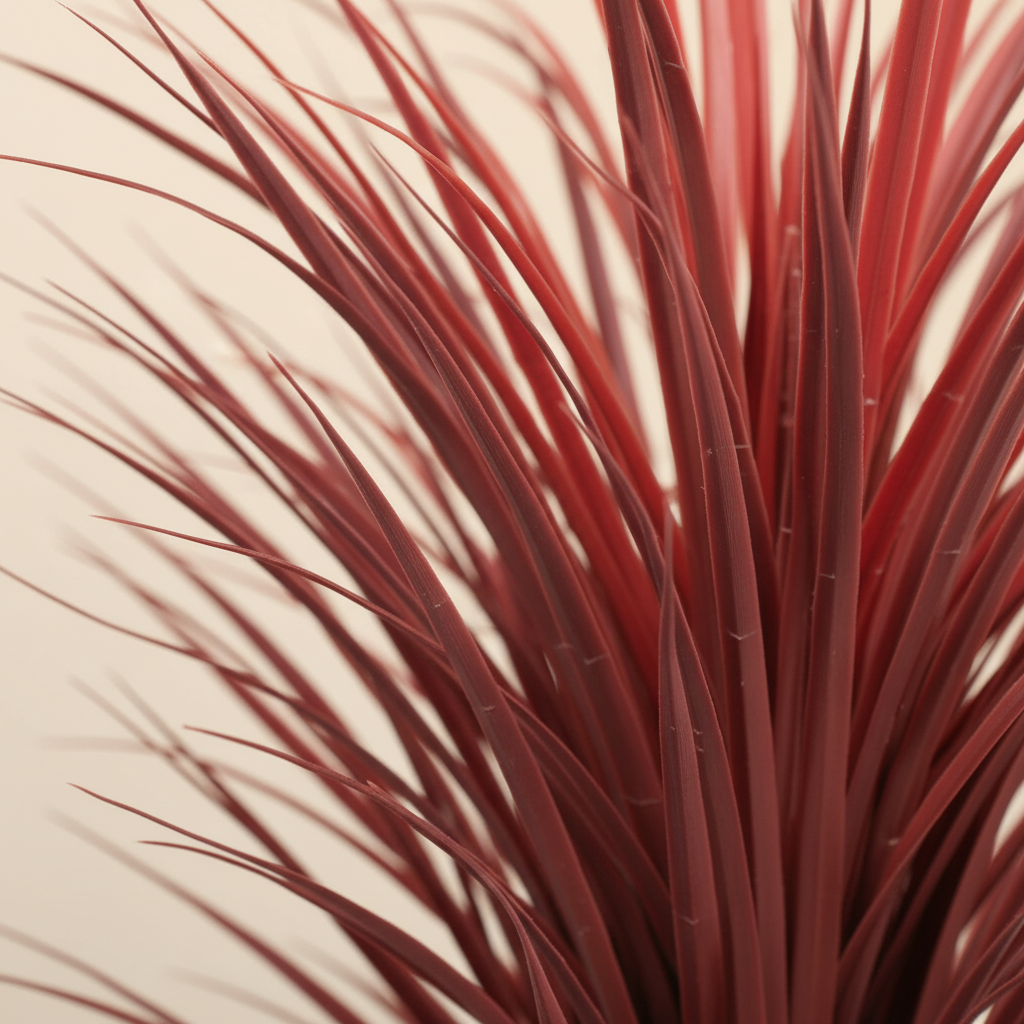 Close-up burgundy blade detail
