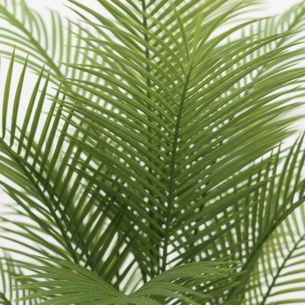 Close-up detail - fronds