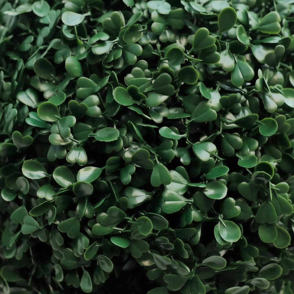 Close-up detail - indoor