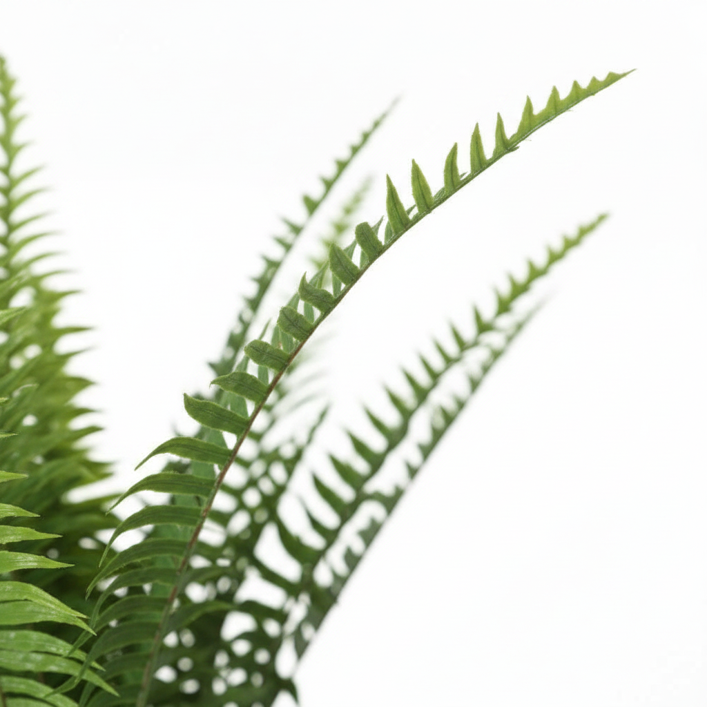 Close-up detail - indoor