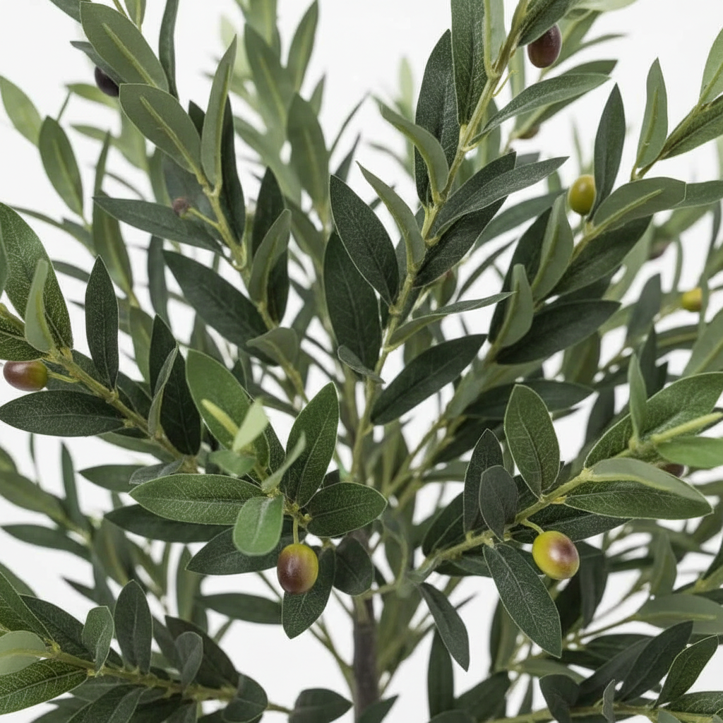 Close-up detail - leaves and olives