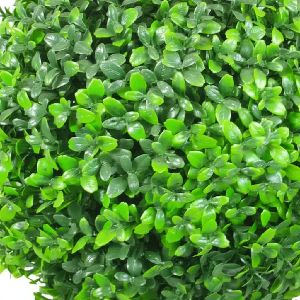 Close-up - foliage