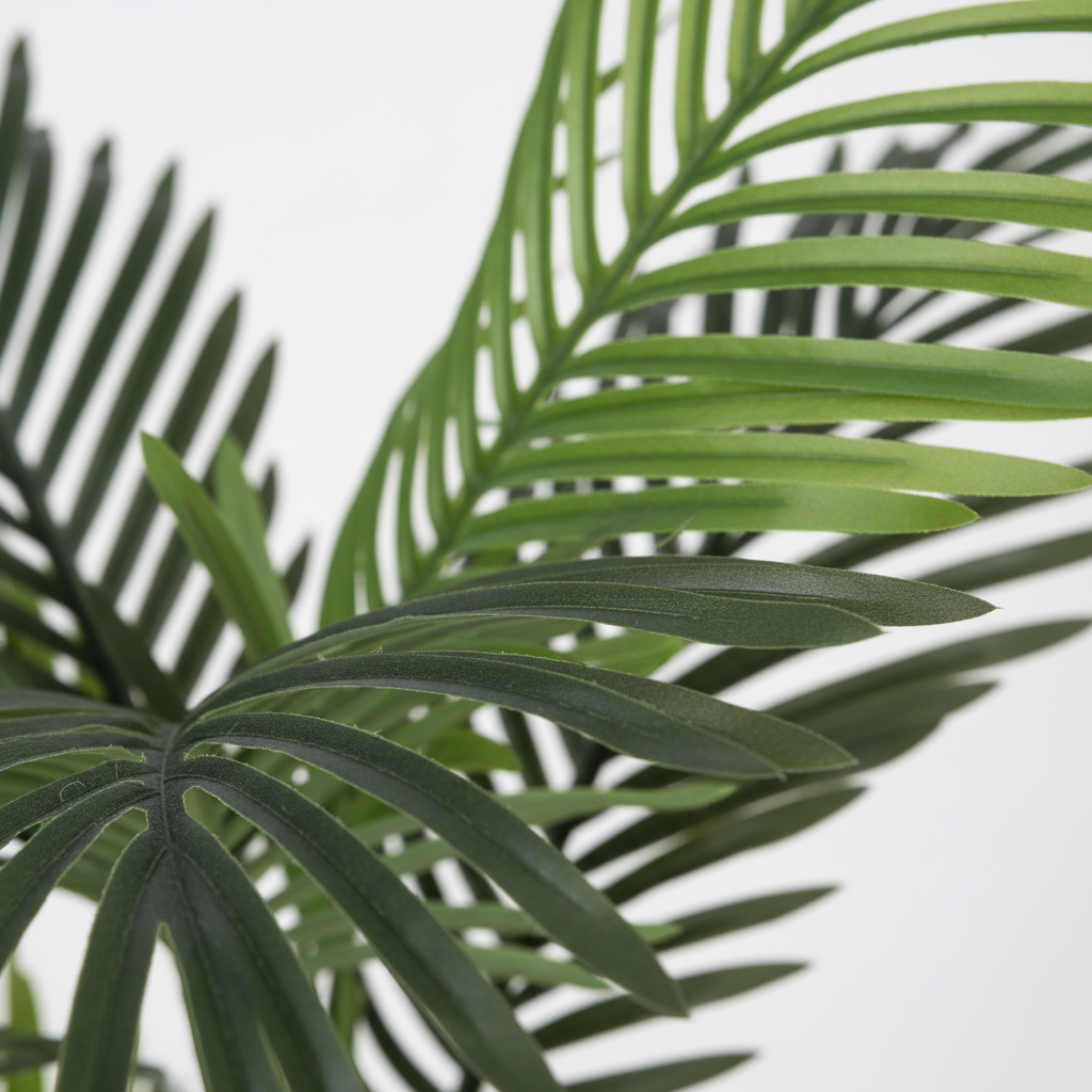 Close-up - Frond Detail