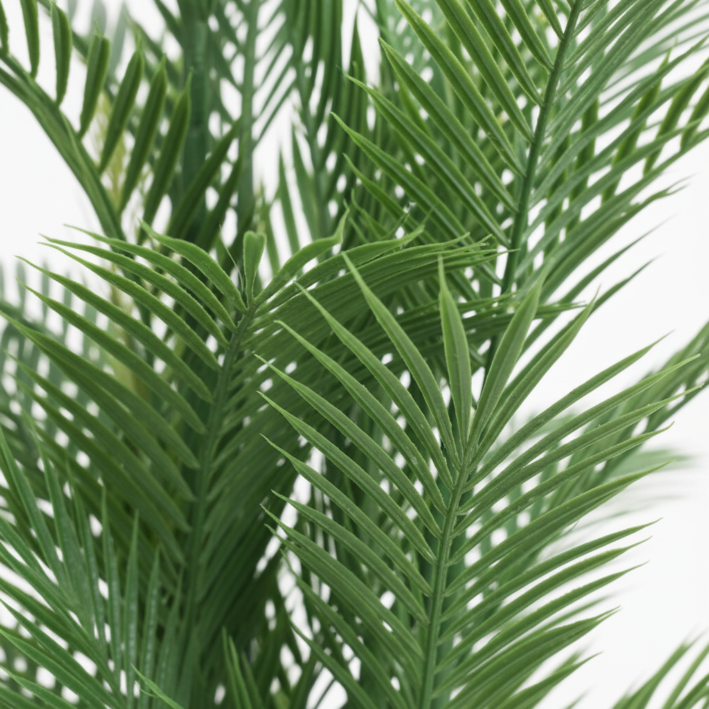 Close-up - Frond Detail