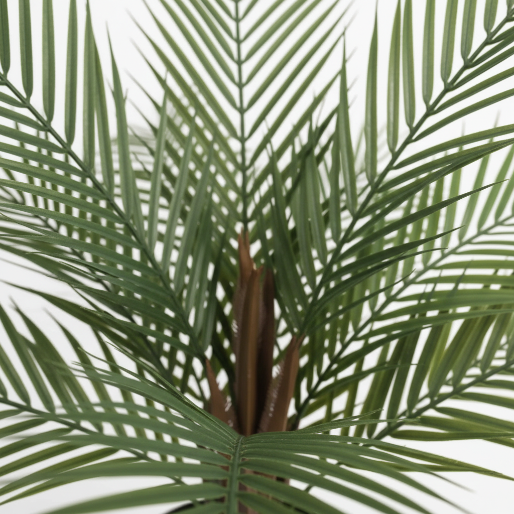 Close-up frond texture