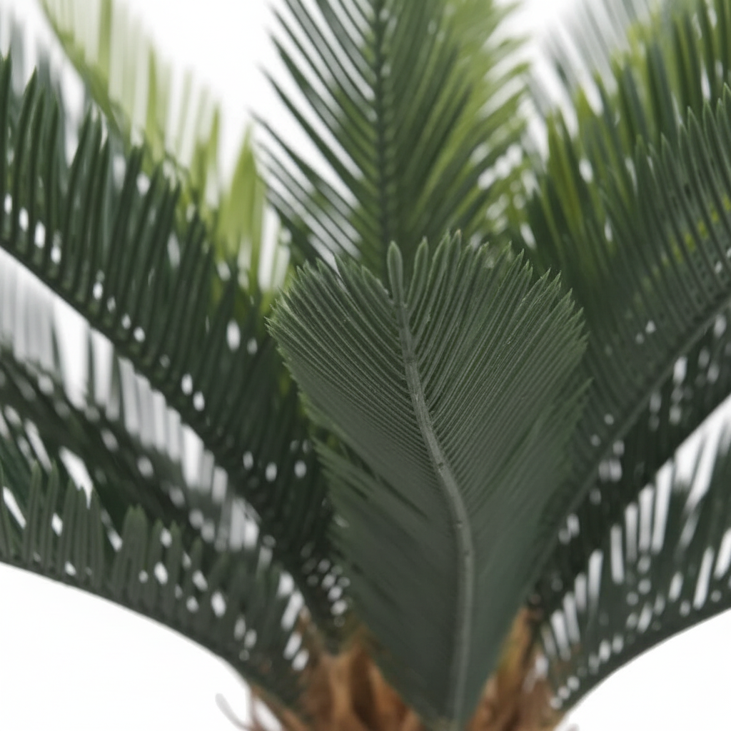 Close-up - fronds
