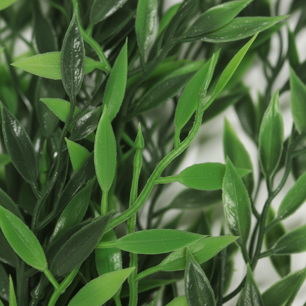 Close-up - indoor