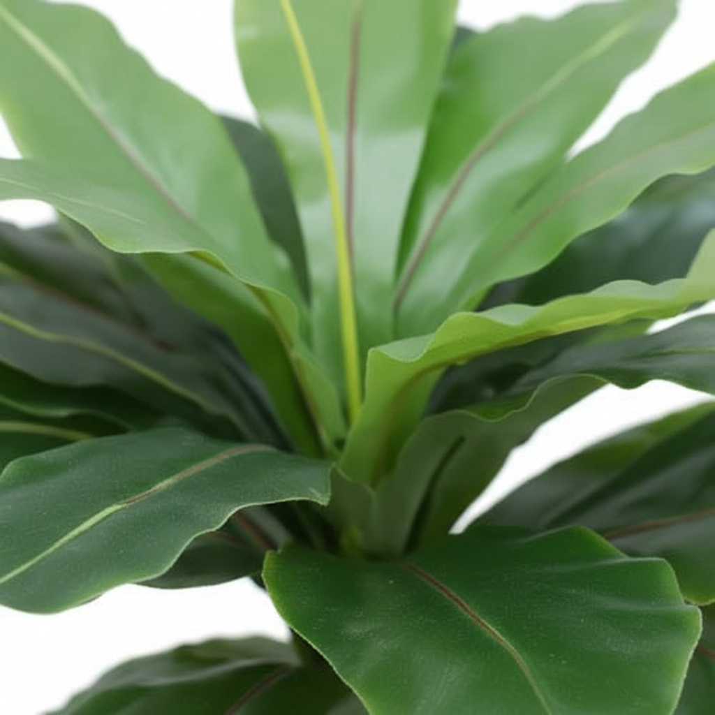 Close-up - leaf detail