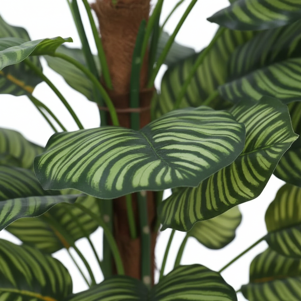 Close-up - leaves revised