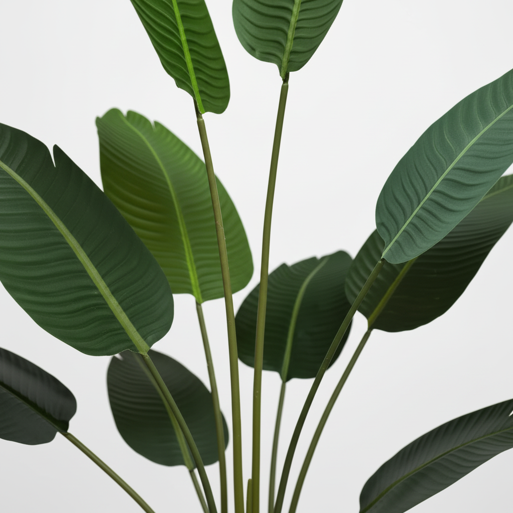 Close-up - leaves