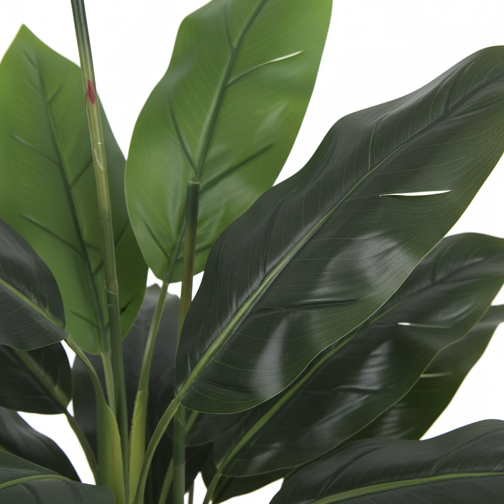 Close-up - leaves
