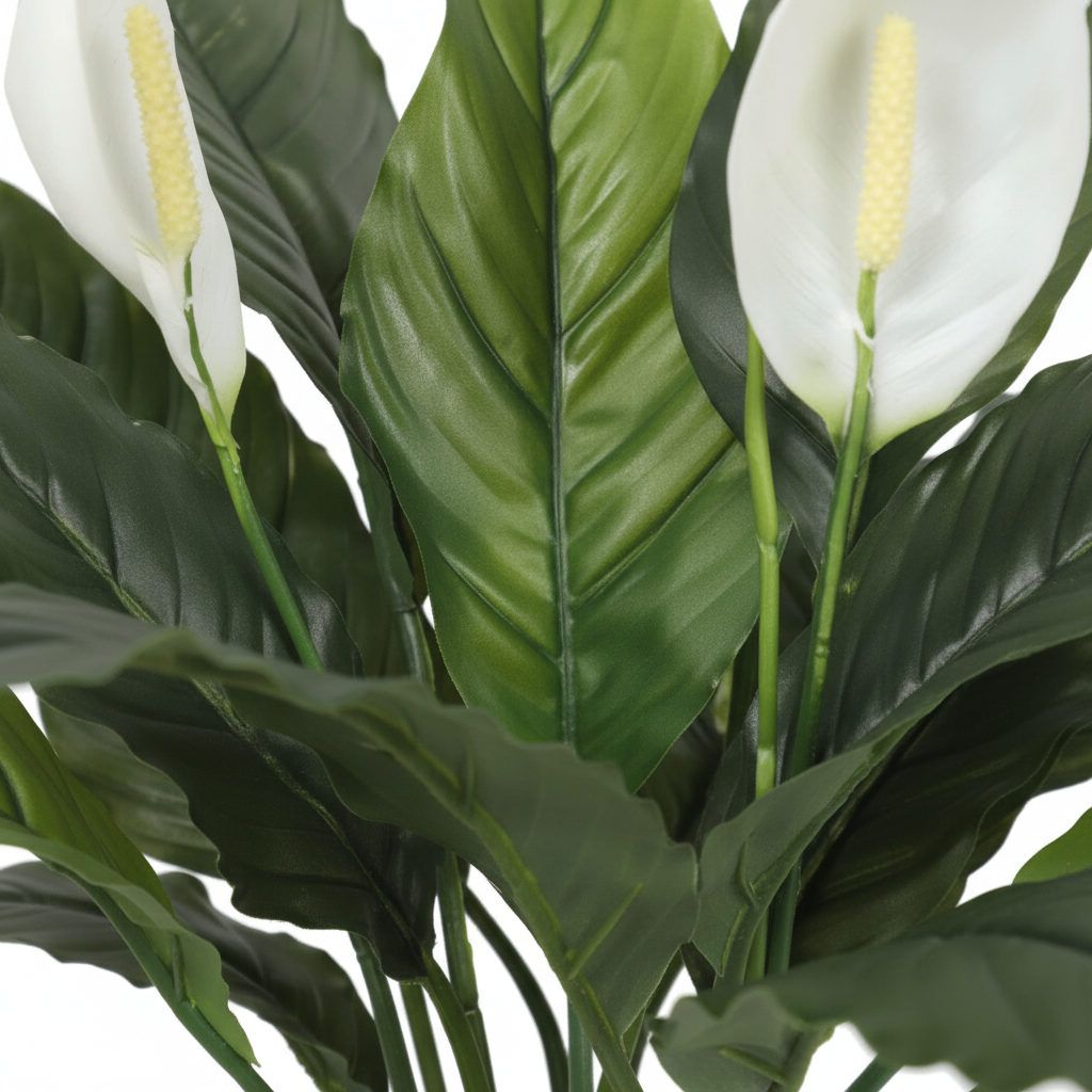 Close-up - leaves