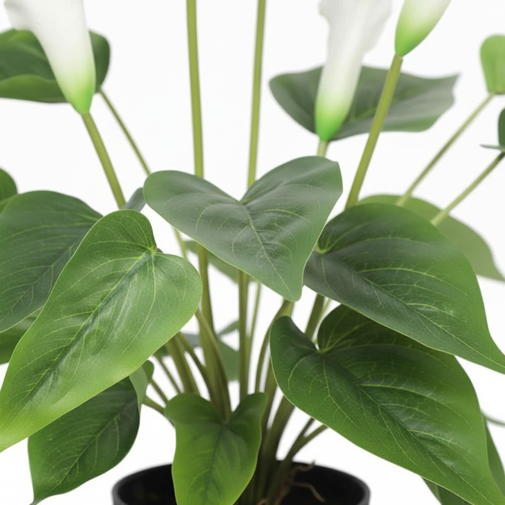 Close-up - leaves
