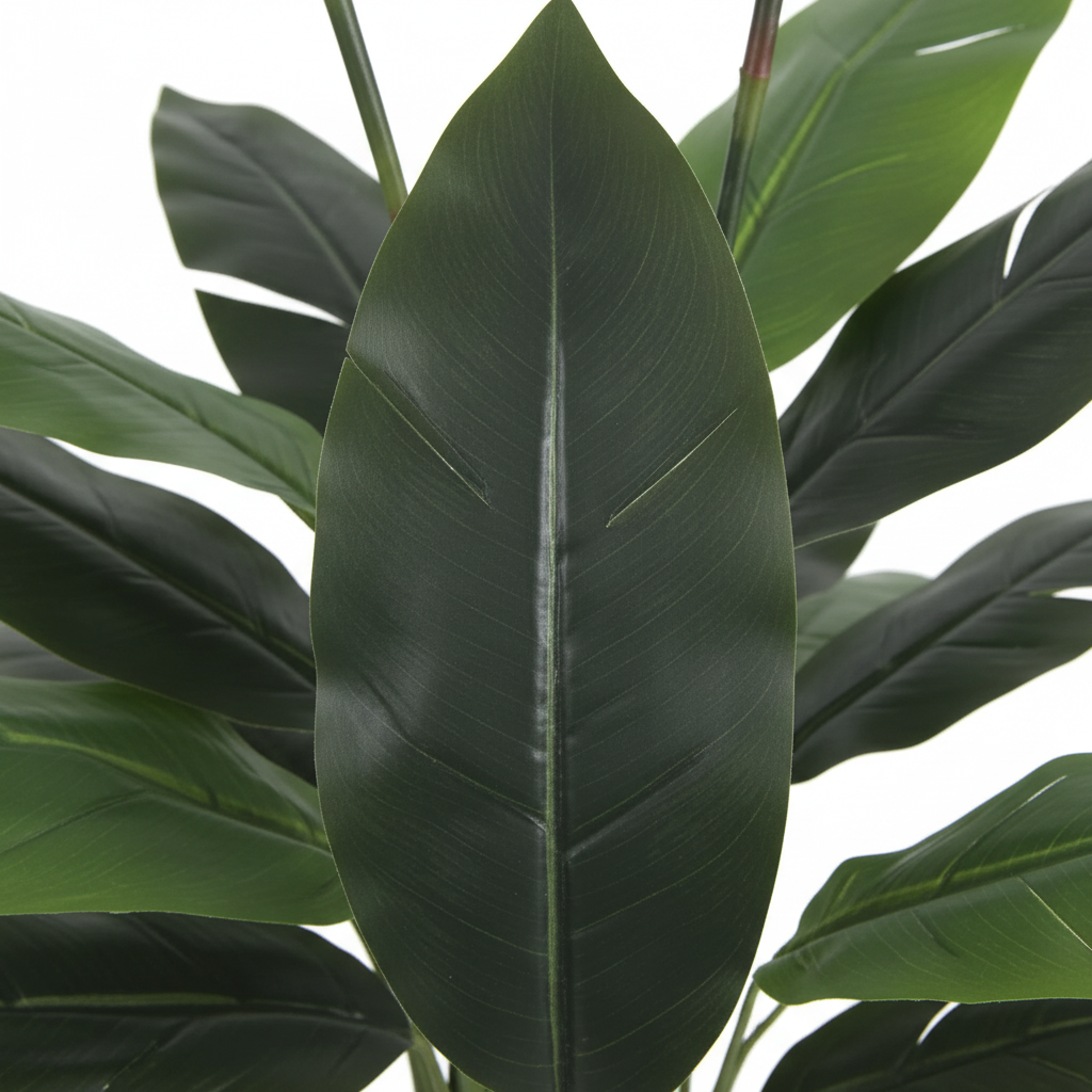 Close-up - leaves