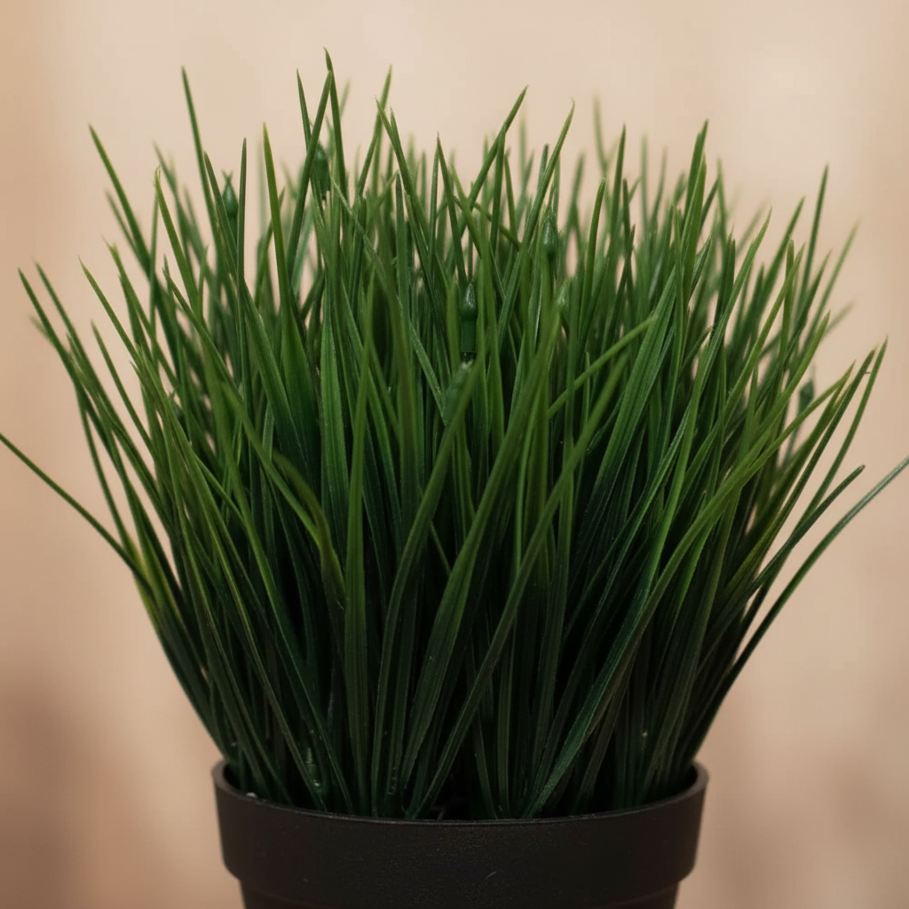 Close-up mondo grass detail