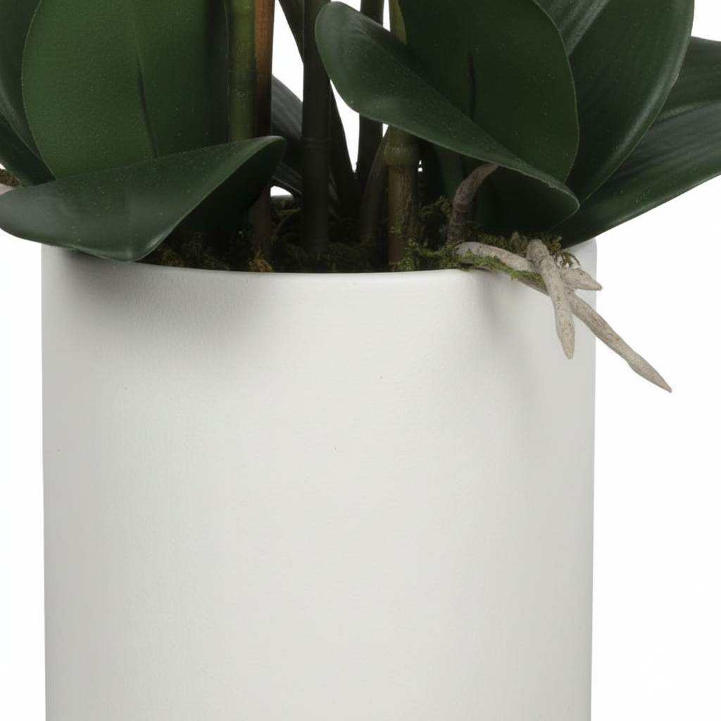 Close-up - pot