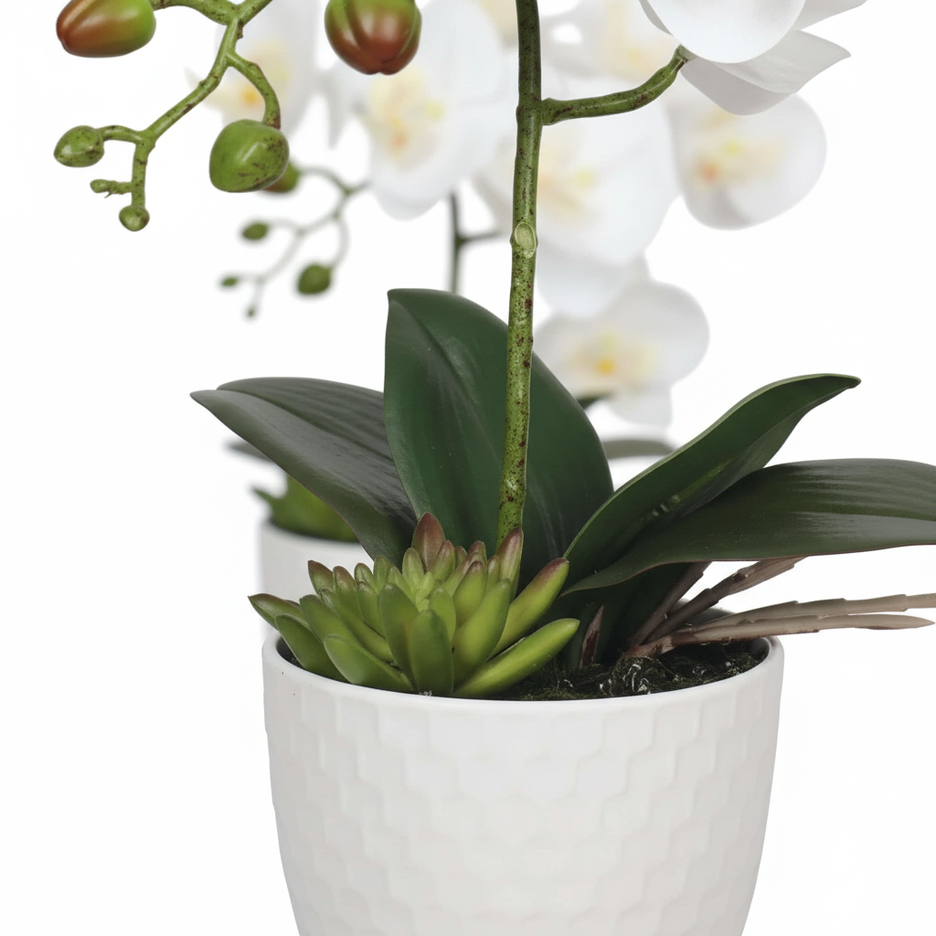 Close-up - pot