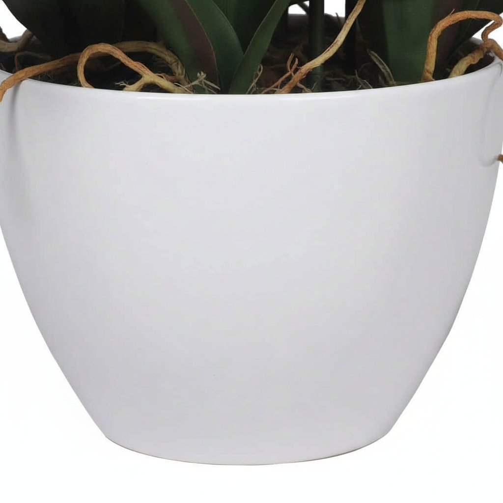 Close-up - pot