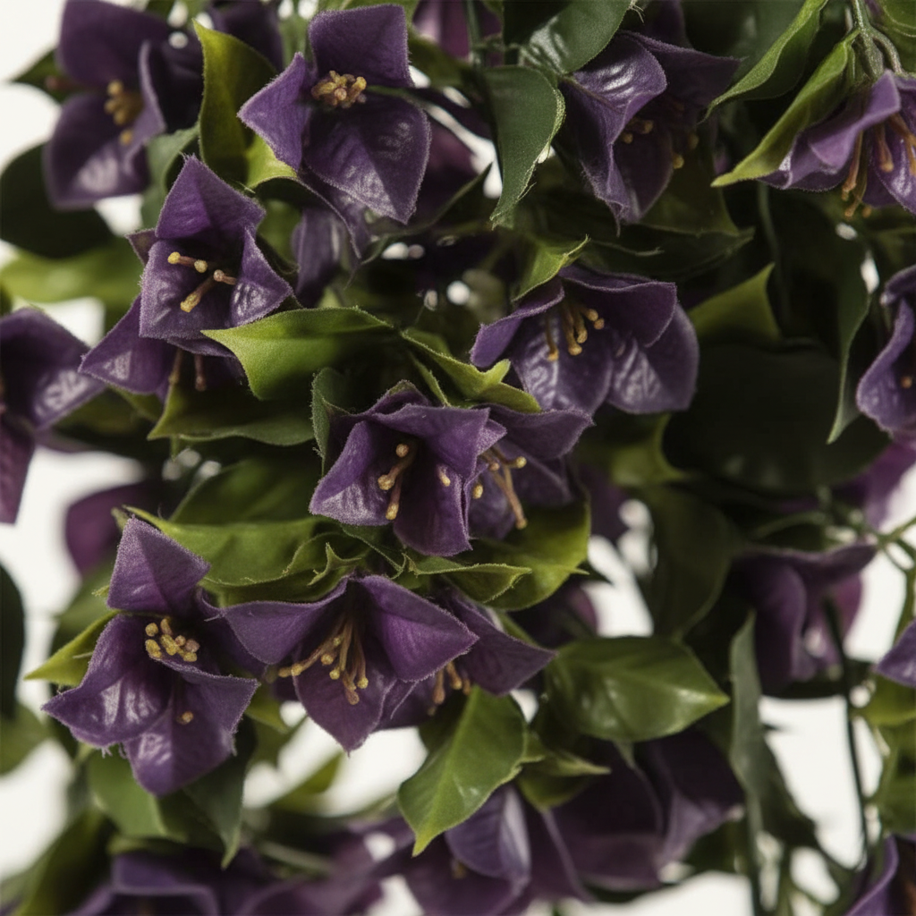 Close-up purple bract detail