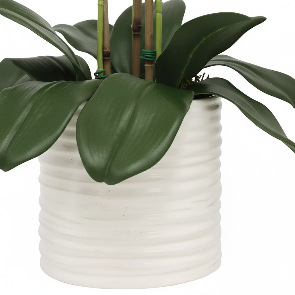 Close-up - ribbed pot