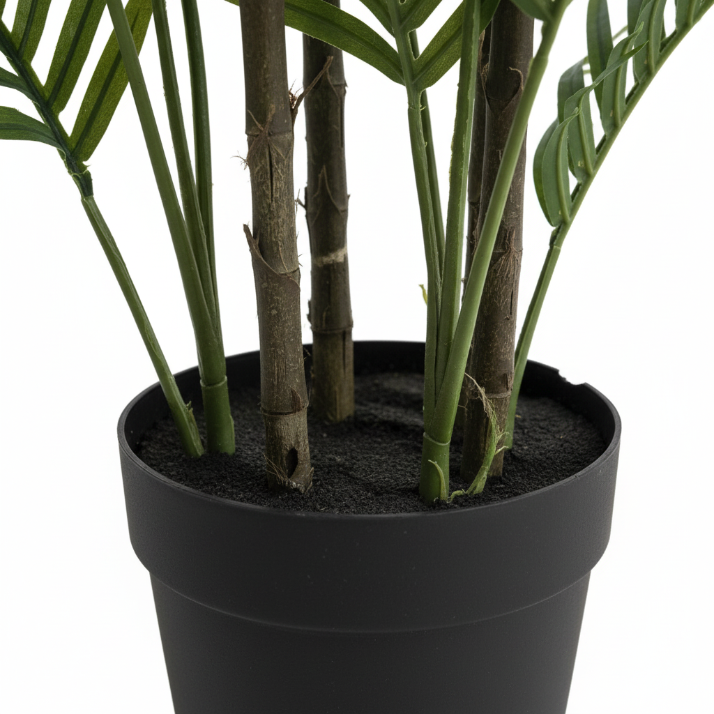 Close-up - trunks