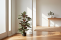Cordyline hallway