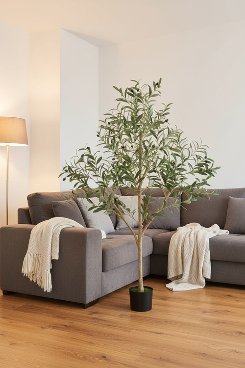 Cosy Family Room
