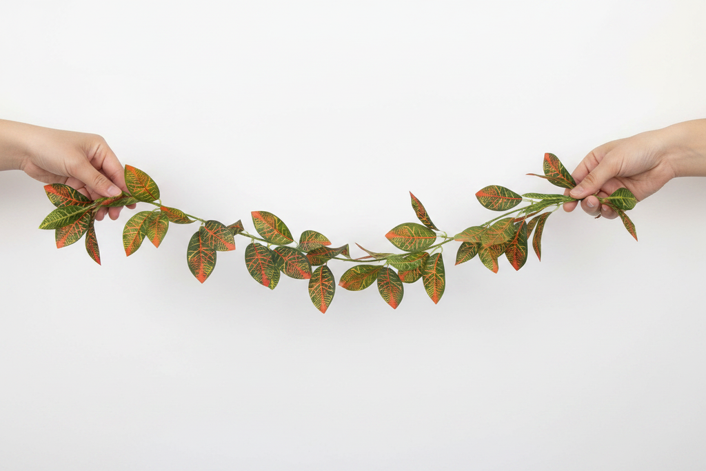 Croton Vine Full Length