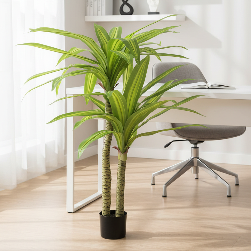 Dracaena Tree - Home Office
