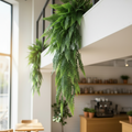 Fern Garland Cafe Portrait