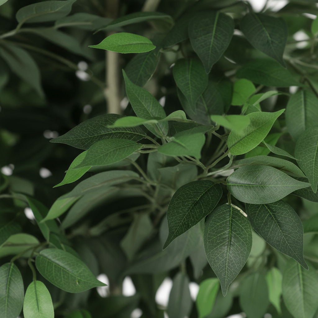 Ficus Leaf Detail