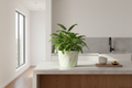 Green Marble Pot – Kitchen