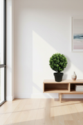 Hedyotis Topiary – Living Room