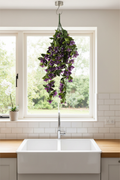 Indoor colour pop
