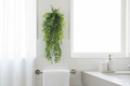 Indoor scale - bathroom