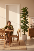 Indoor scale - dining revised