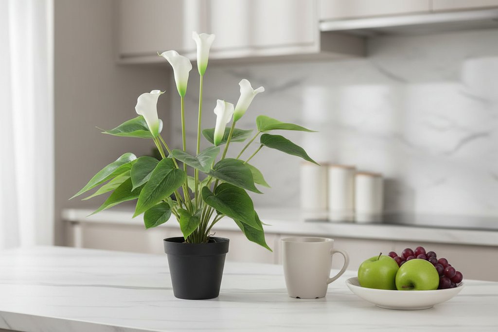 Indoor scale - kitchen