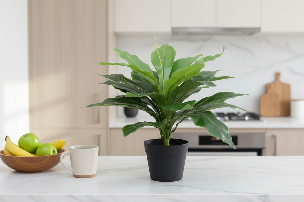 Indoor scale - kitchen