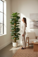 Indoor scale - living room