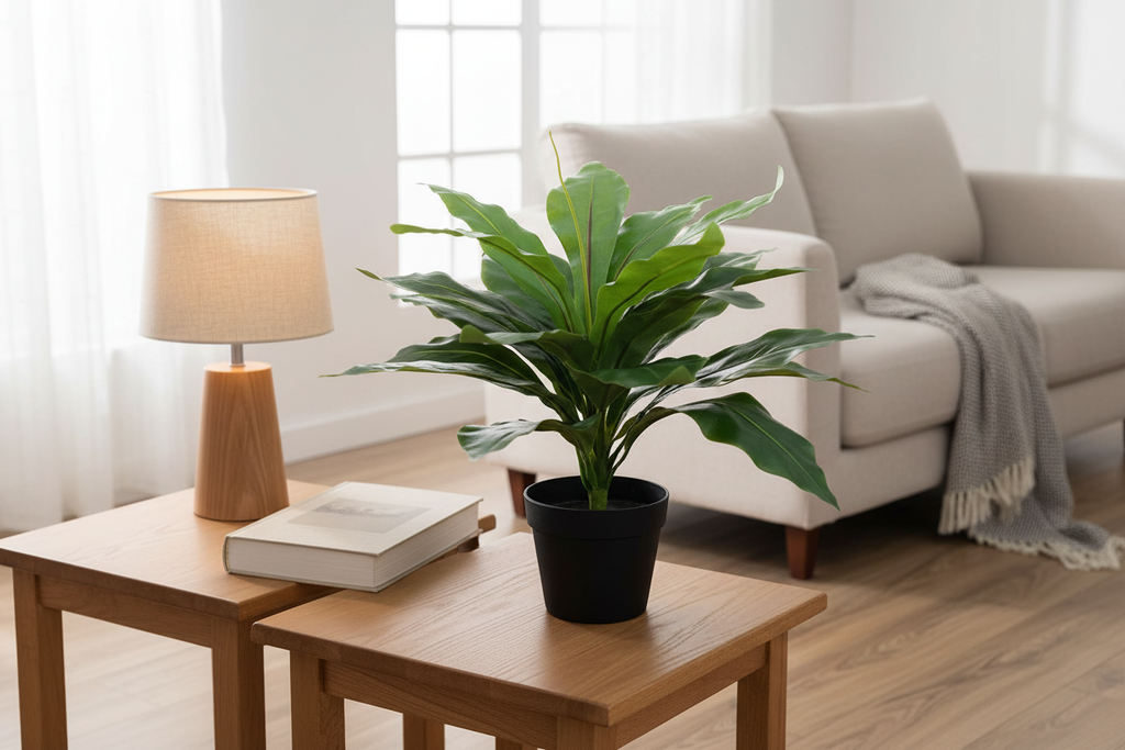 Indoor scale - living room