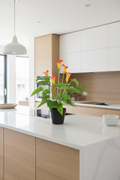 Kitchen Lifestyle
